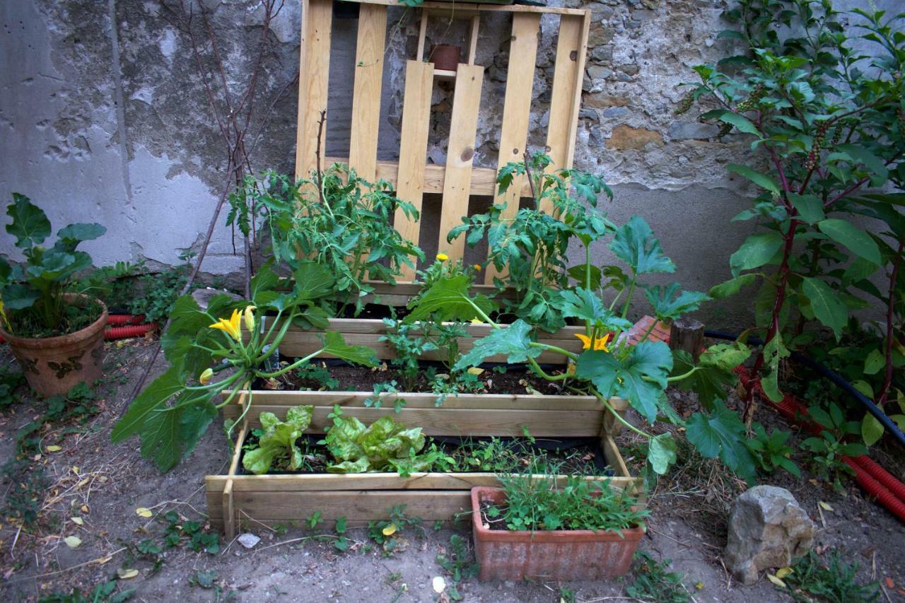 Art Home Bnb Carcassonne Eksteriør bilde