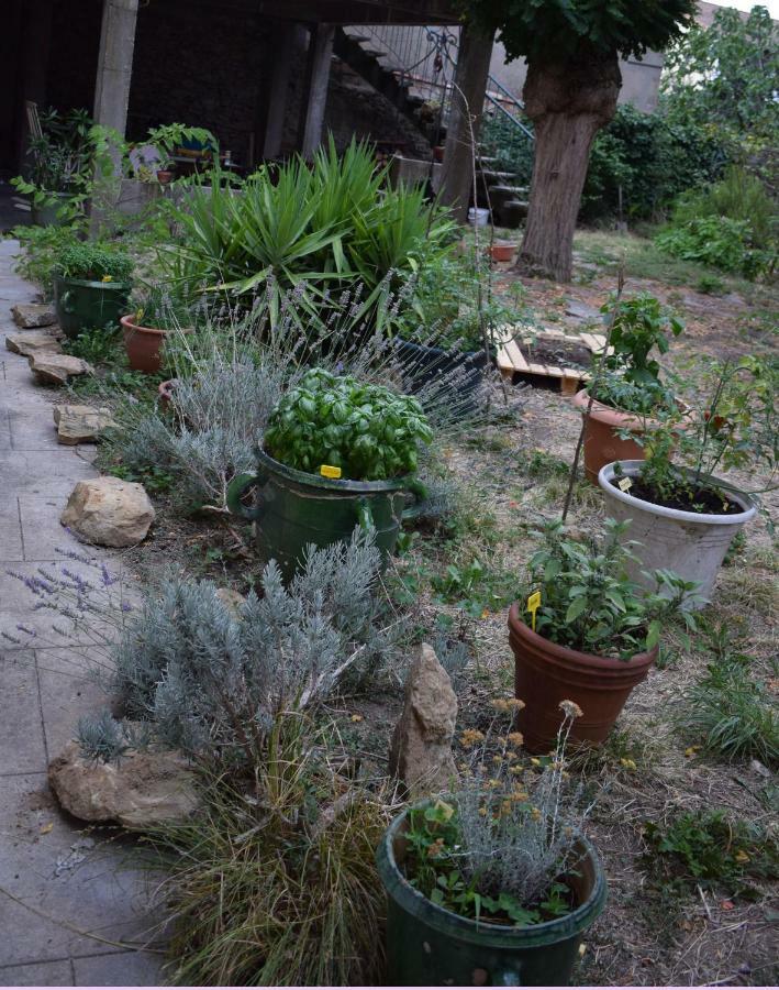 Art Home Bnb Carcassonne Eksteriør bilde